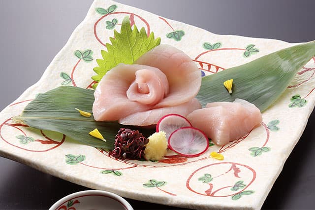 ワニの刺身